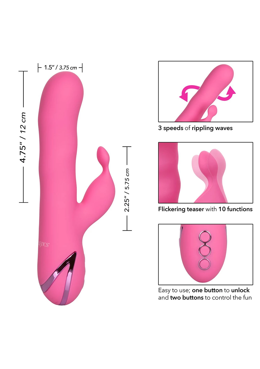 Cal Exotics California Dreaming Santa Barbara Surfer - Image 3