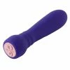 FemmeFunn Booster Bullet Vibrator