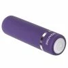 Evolved Novelties Rechargeable Petite Purple Passion Power Bullet