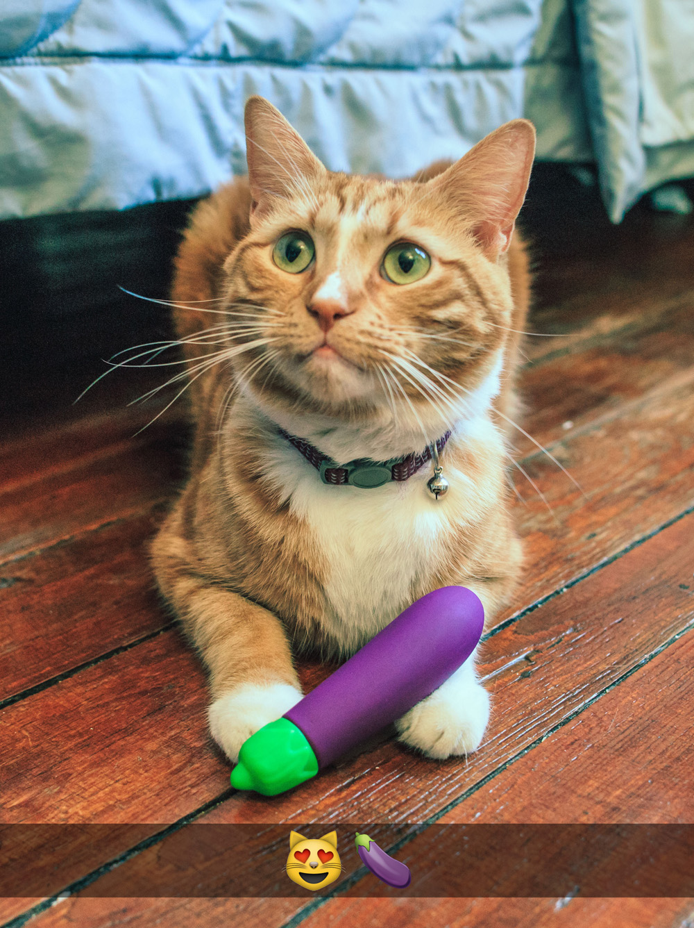 Eggplant Emojibator Vibrator Eggplant Emojibator Vibrator -Cal Exotics Shop itk8yjcqhpaawc4slzw7