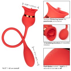 Cal Exotics French Kiss Casanova -Cal Exotics Shop puhlpfr2fhed1wykgfxk