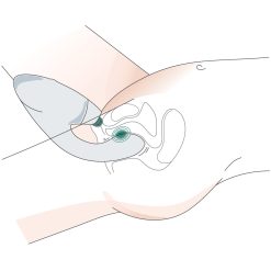 Womanizer Duo 2 Stimulator -Cal Exotics Shop rjwozkpoyhxanazkffeq