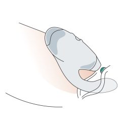 Womanizer Duo 2 Stimulator -Cal Exotics Shop thnckxeelxcklp4t75ff