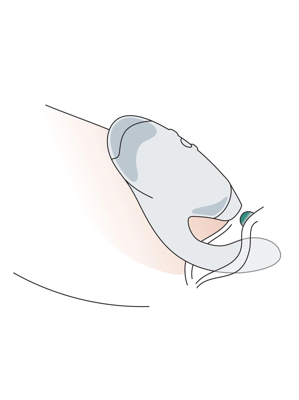 Womanizer Duo 2 Stimulator - Image 38