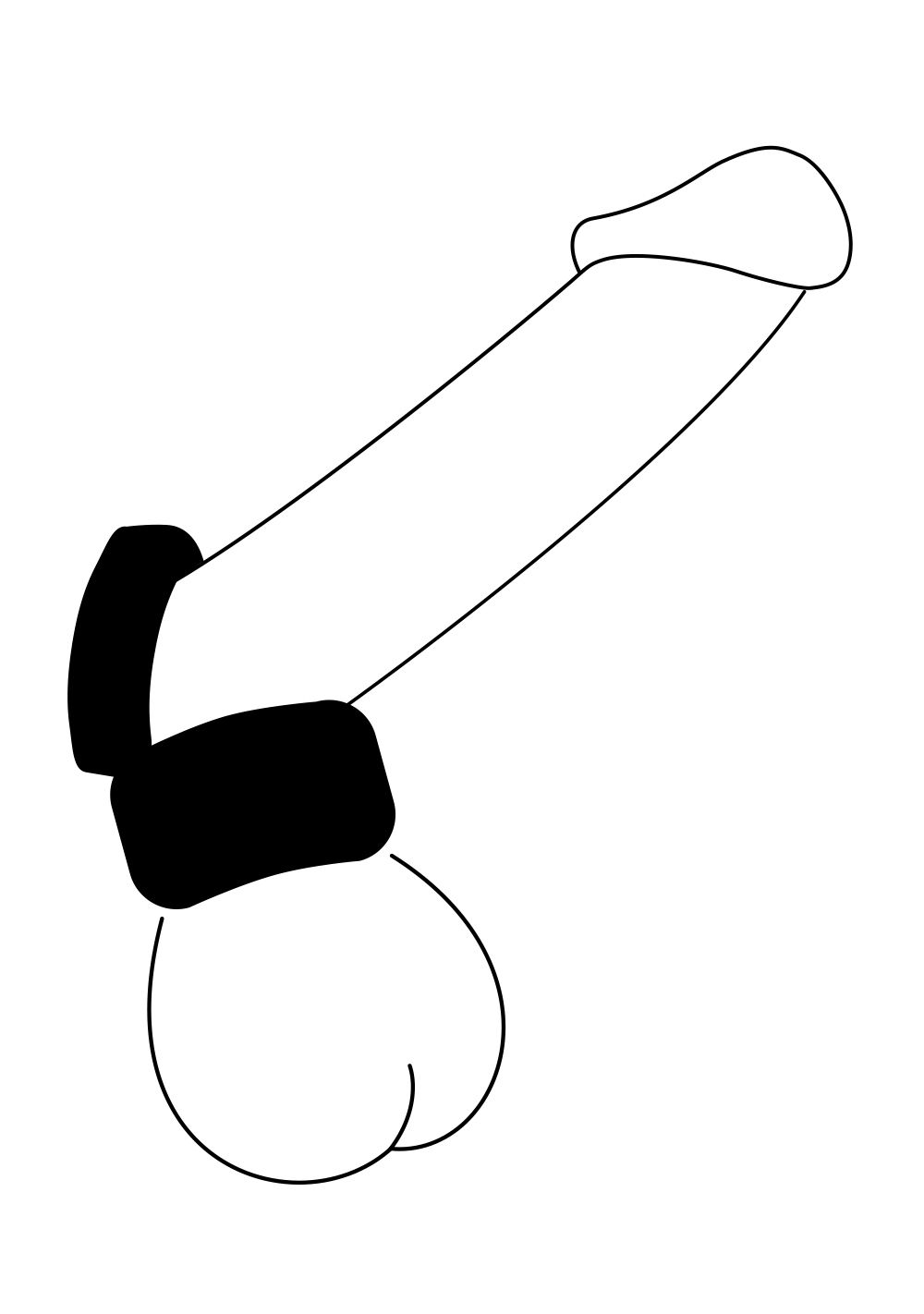 SilaSkin Cock and Ball Perfect Fit SilaSkin Cock And Ball -Cal Exotics Shop